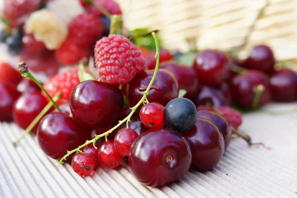 Ripe summer berries — Stock Photo, Image