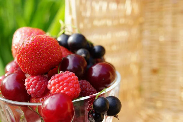 Frutos de verão maduros — Fotografia de Stock