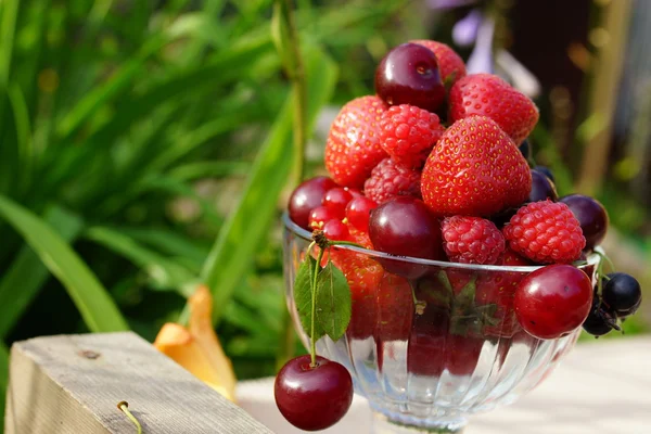 Deliciosas bayas verano — Foto de Stock