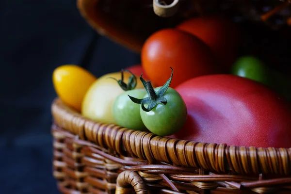 Kleurrijk en verschillende grootte tomaten — Stockfoto