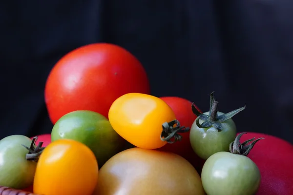 Colorful and different size tomatoes — Stock Photo, Image