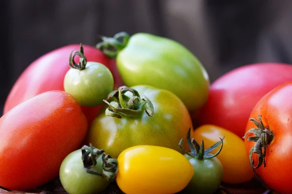 Bunte und unterschiedlich große Tomaten — Stockfoto