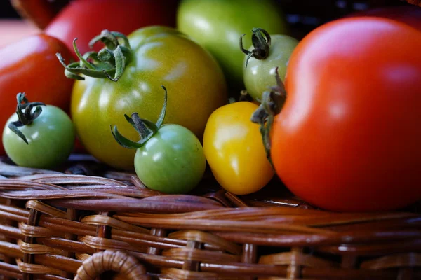 Barevné a různé velikosti rajčat — Stock fotografie