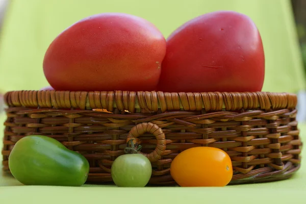 Bunte und unterschiedlich große Tomaten — Stockfoto