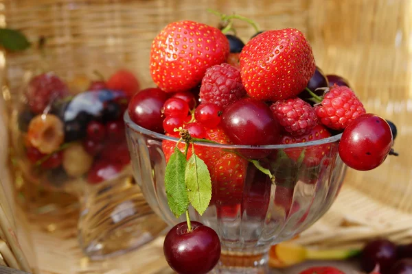 Fresh summer berries — Stock Photo, Image