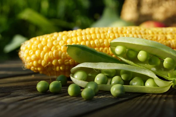 Pods of peas and corn cob — Stock Photo, Image