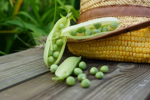 Peas, corn and a straw hat. — Stock Photo, Image