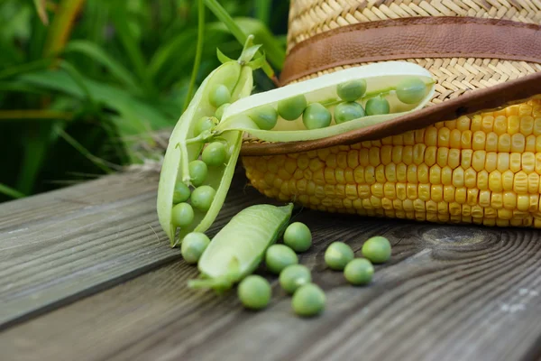 Guisantes, maíz y sombrero de paja . — Foto de Stock