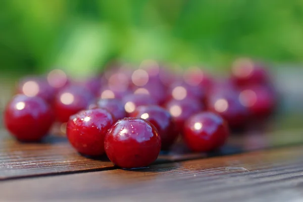 Scattered Wet Cherries. — Stock Photo, Image