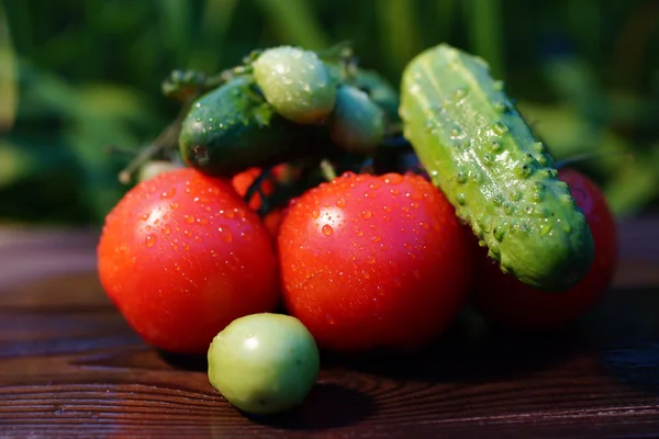 Legumes: pepinos e tomates — Fotografia de Stock