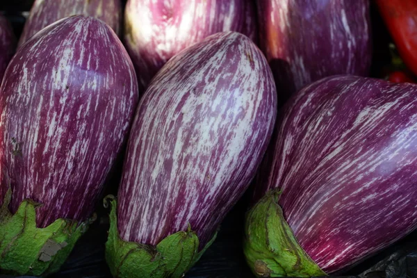 Äggplantor — Stockfoto