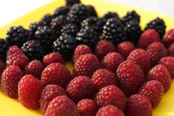 Moras y frambuesas en bandeja —  Fotos de Stock