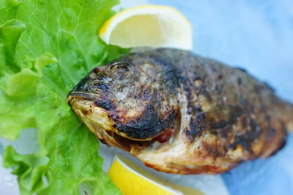 Grilled fish — Stock Photo, Image