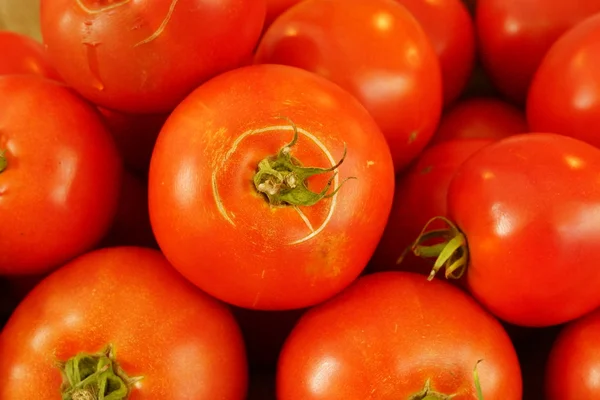 Large tomatoes — Stock Photo, Image