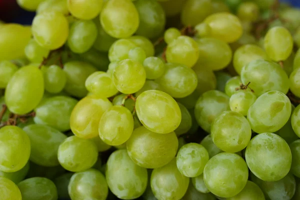 Grapes — Stock Photo, Image