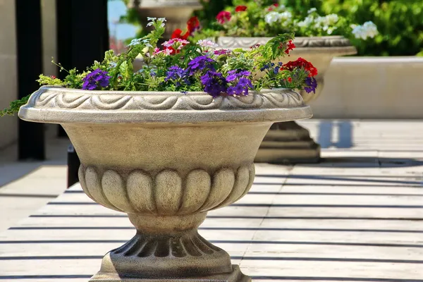 Trädgårds dekorationer. kruka med blommor. — Stockfoto