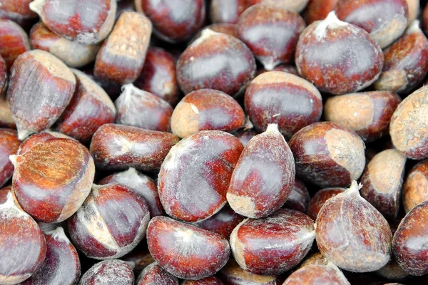 Chestnuts Background XXXL — Stock Photo, Image