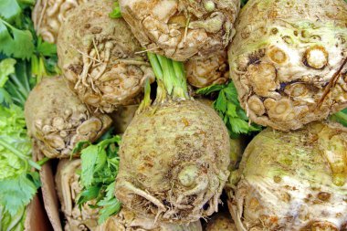 Celeriac Root and Leaves clipart
