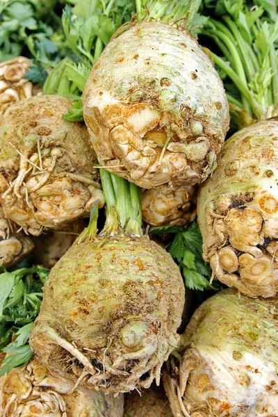 Celery Root and Leaves — Stock Photo, Image