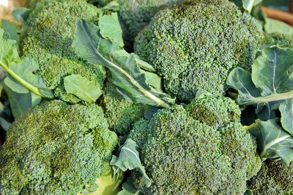 Broccoli kiemen heap plantaardige achtergrond xxxl — Stockfoto