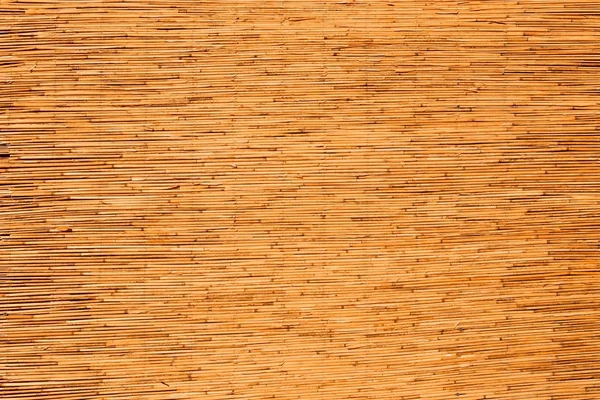 Bambu paneli — Stok fotoğraf