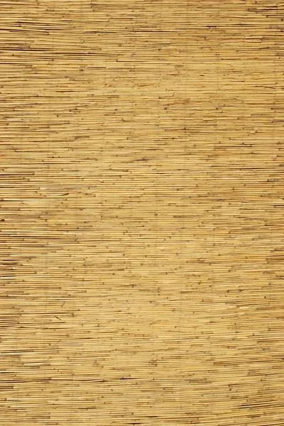 Bamboo Panel — Stock Photo, Image