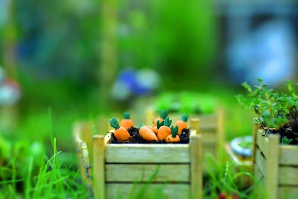 Miniature Garden — Stock Photo, Image