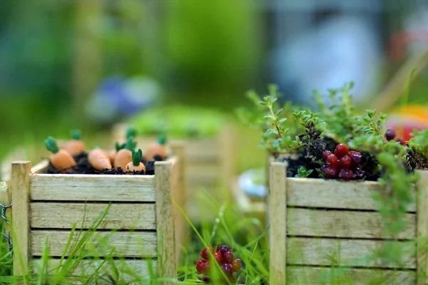 Jardin miniature — Photo