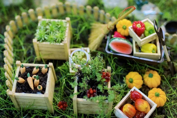 Miniature Garden — Stock Photo, Image