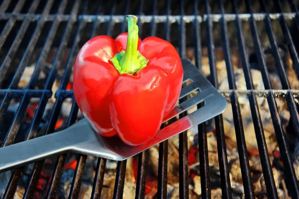 Spatulla e Bell Pepper na churrasqueira quente grade de ferro fundido — Fotografia de Stock