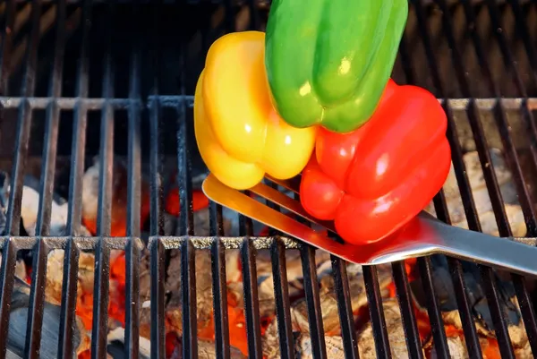 Kleurrijke paprika op de BBQ-cast iron grill — Stockfoto