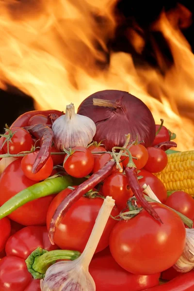 Italiano Natureza morta com legumes e fogo — Fotografia de Stock