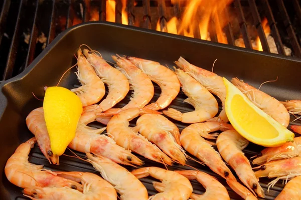Grilled Shrimps on open BBQ fire, XXXL — Stock Photo, Image