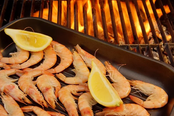 Grilled Shrimps on open BBQ fire, XXXL — Stock Photo, Image