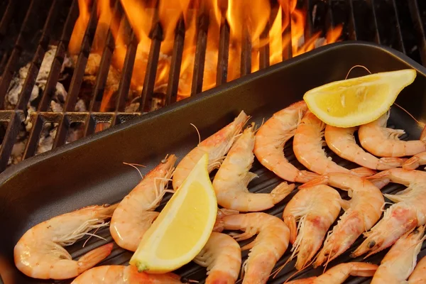 Grilled Shrimps on open BBQ fire, XXXL — Stock Photo, Image