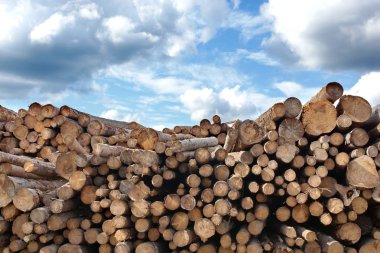 Woodpile of cut Lumber clipart