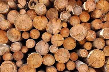 Woodpile of cut Lumber clipart