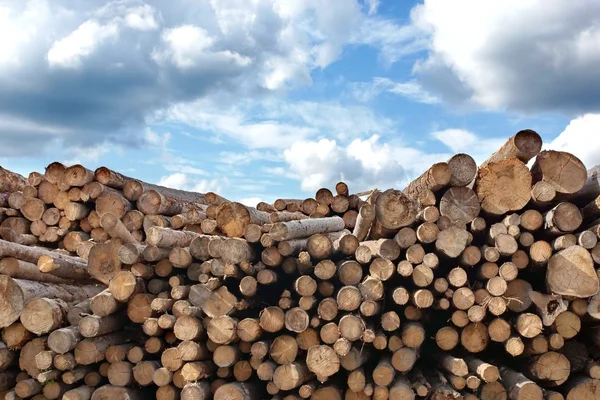 Houtstapel van gesneden hout — Stockfoto