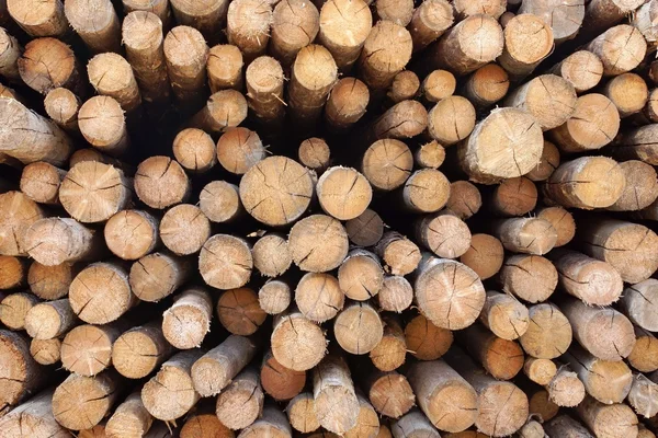 Houtstapel van gesneden hout — Stockfoto