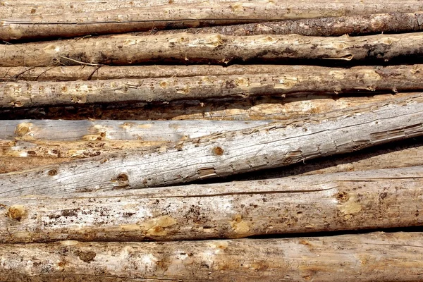 Empilement de bois coupé — Photo