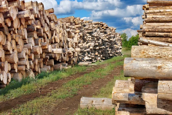 Houtstapel van gesneden hout — Stockfoto