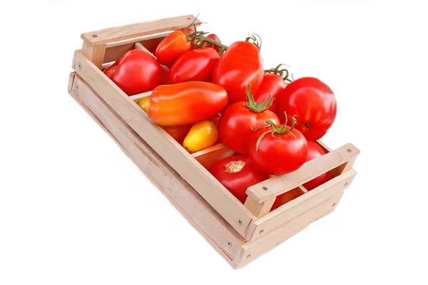 Different colors and size Tomatoes in wooden box — Stock Photo, Image