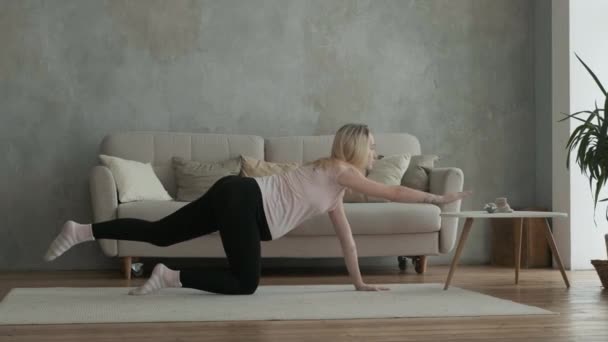 Sport Gyakorlatok Koncepció Anyaság Egészséges Életmód Egészséges Terhes Csinál Izom — Stock videók
