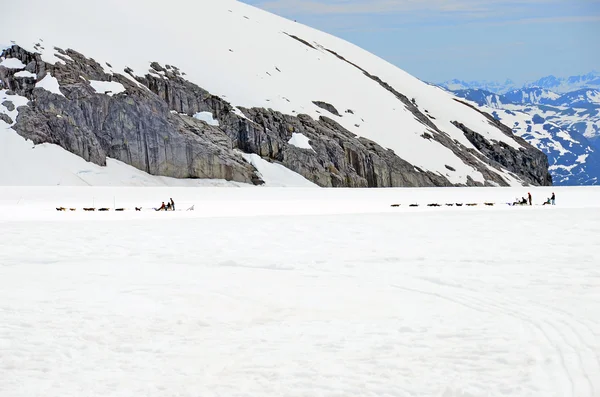 Traîneau à chiens transportant des passagers — Photo