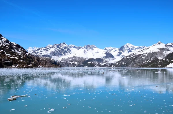 güneşli bir günde Glacier Körfezi