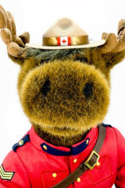 Royal Canadian Mounted Police Moose Soft Toy clipart