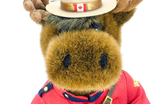 Royal Canadian Mounted Police Moose juguete suave — Foto de Stock