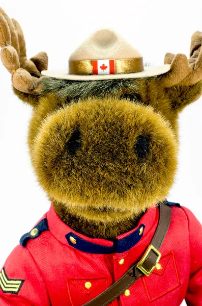 Royal Canadian Mounted Police Moose Soft Toy — Stock Photo, Image