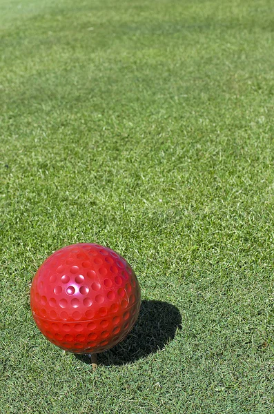 Kırmızı golf topu