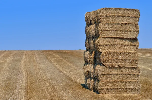 Bundle de paille faisant une pile — Photo